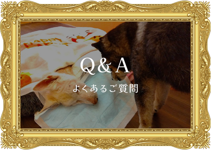 Q&A画像