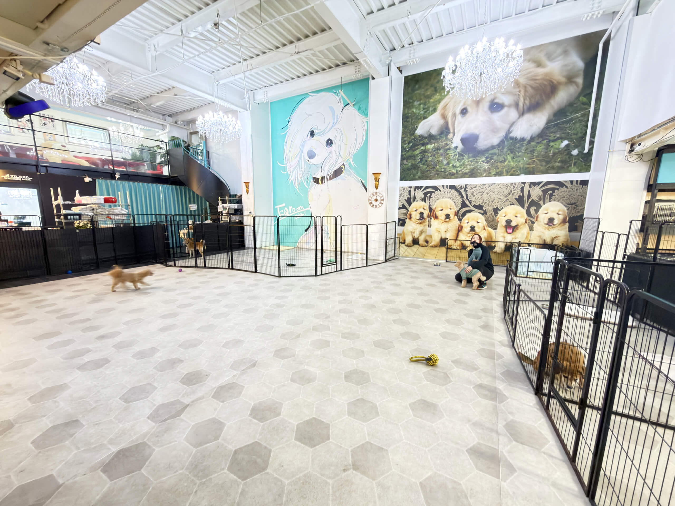 シニアDOGハイム 広大なドッグラン