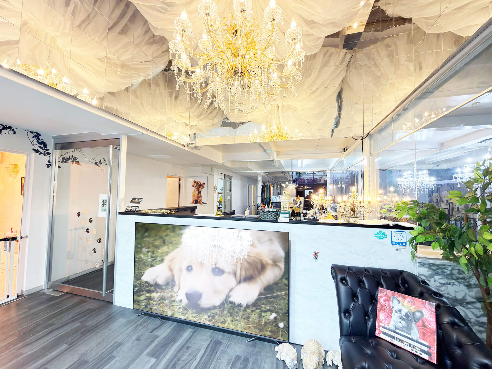 シニアDOGハイム フロント