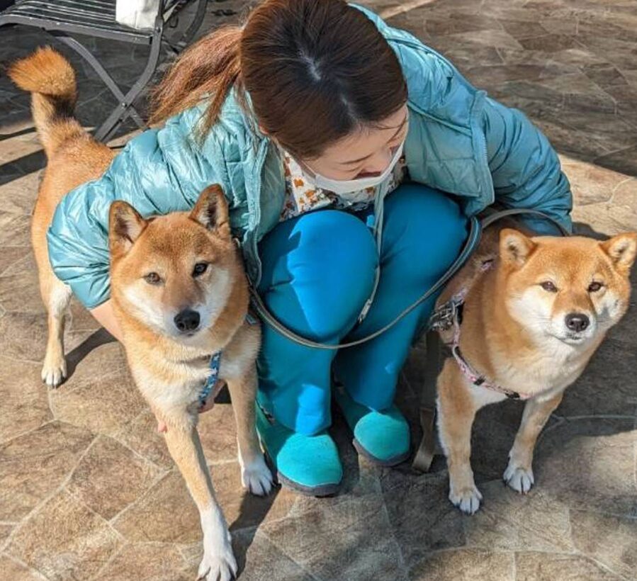 ワンちゃんとスキンシップをとる様子