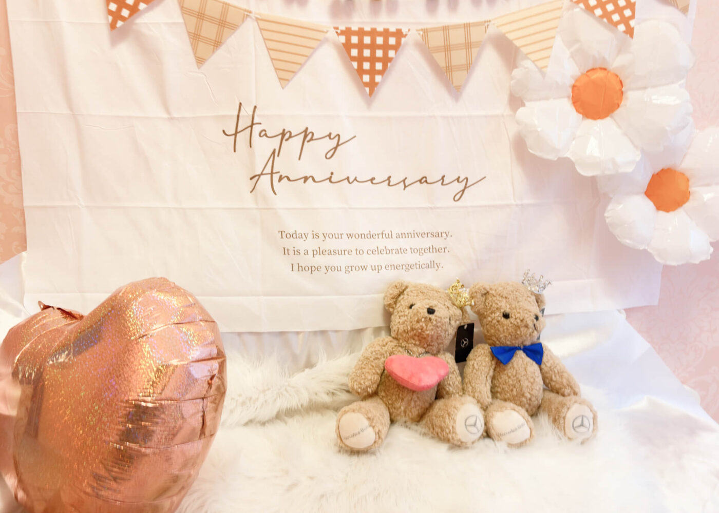 シニアDOGハイム 撮影部屋