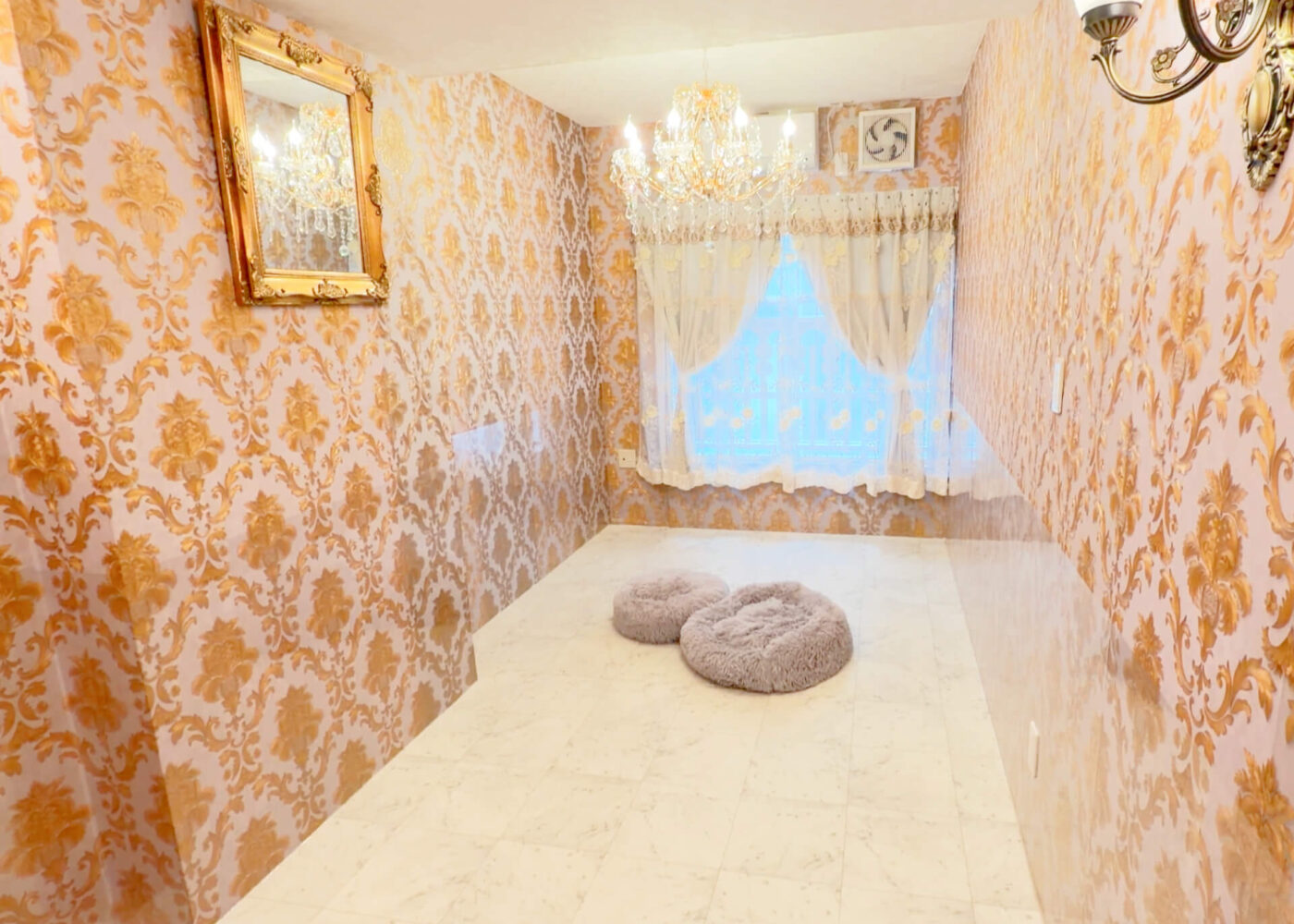 シニアDOGハイム お部屋