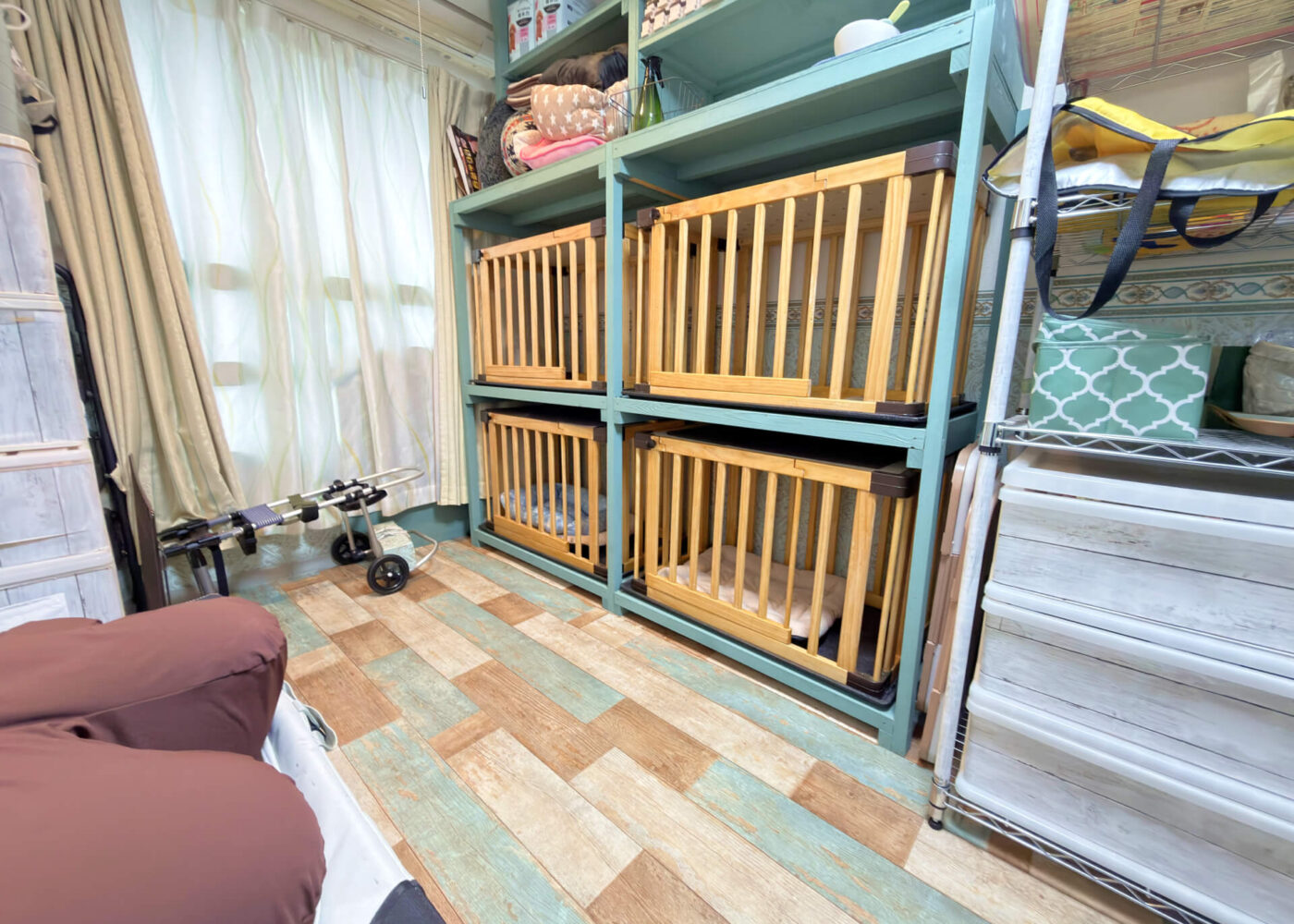 シニアDOGハイム お部屋