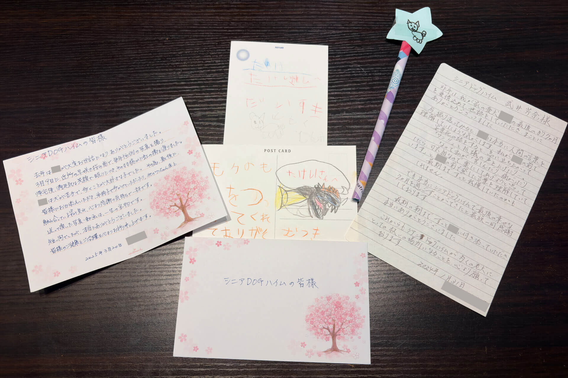 シニアDOGハイム ご利用者様の声