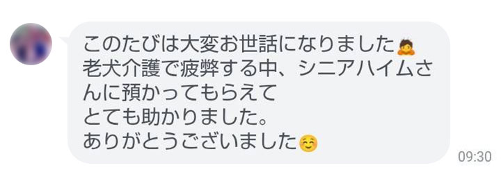 シニアDOGハイム ご利用者様の声