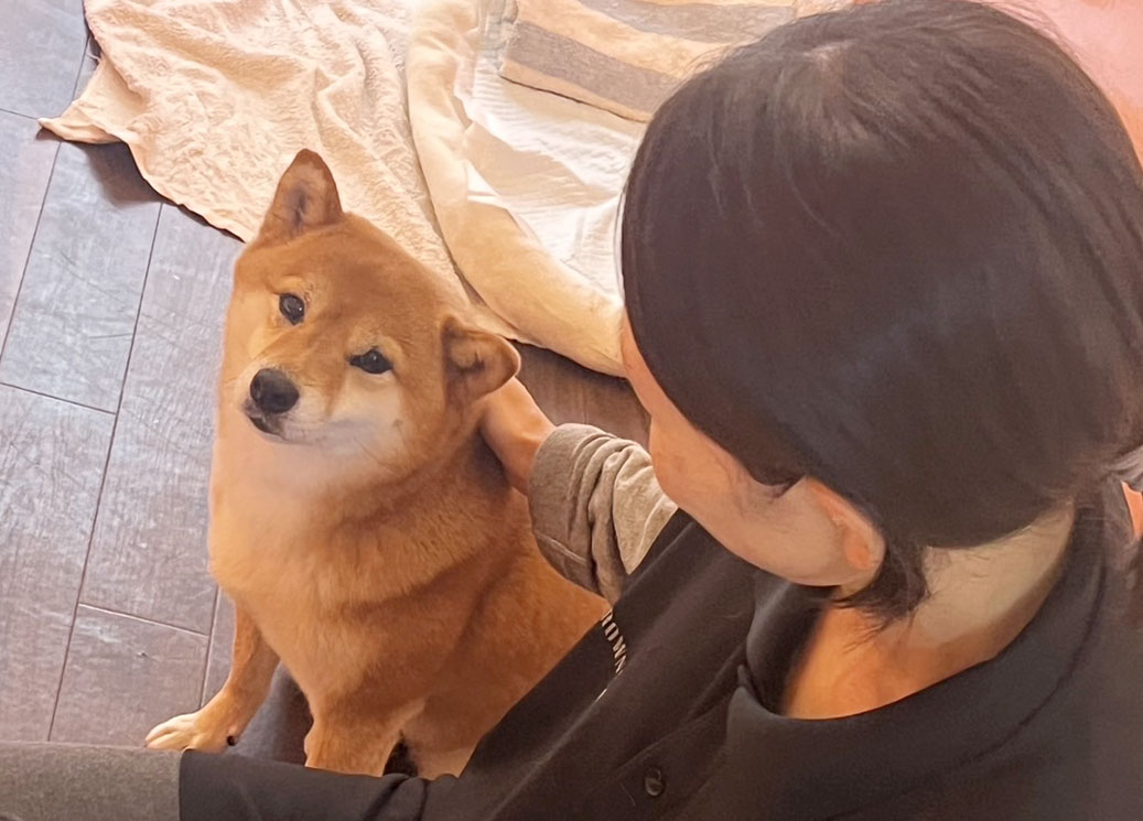 スタッフ写真